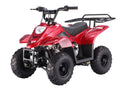 2021 TaoTao Boulder Spider Red color 110B1 110cc ATV Quad GAS 4 Wheeler is Fully Automatic for kids, Unisex children comes with Kill switch, Speed governor , Remote Control and FREE Behind metal rack