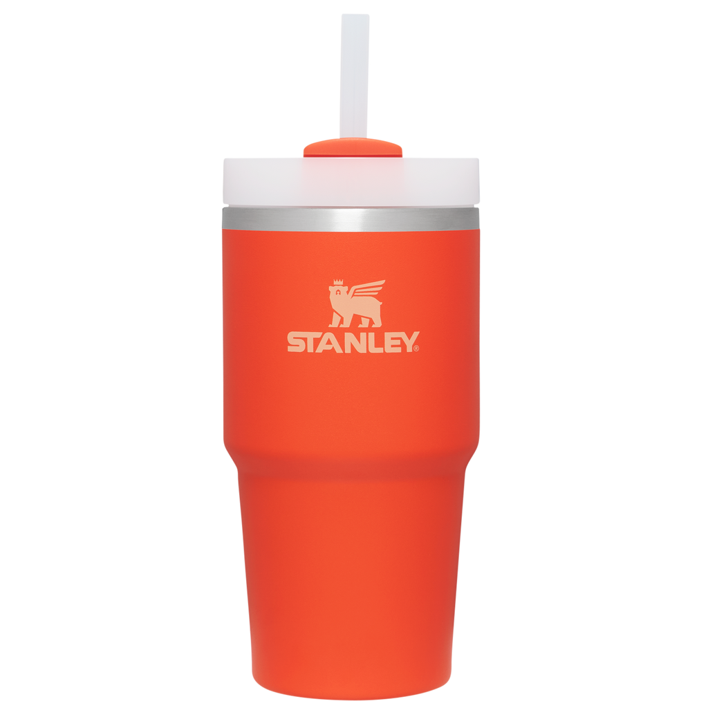 The Quencher H2.0 Flowstate™ Tumbler | Stanley Create D330L
