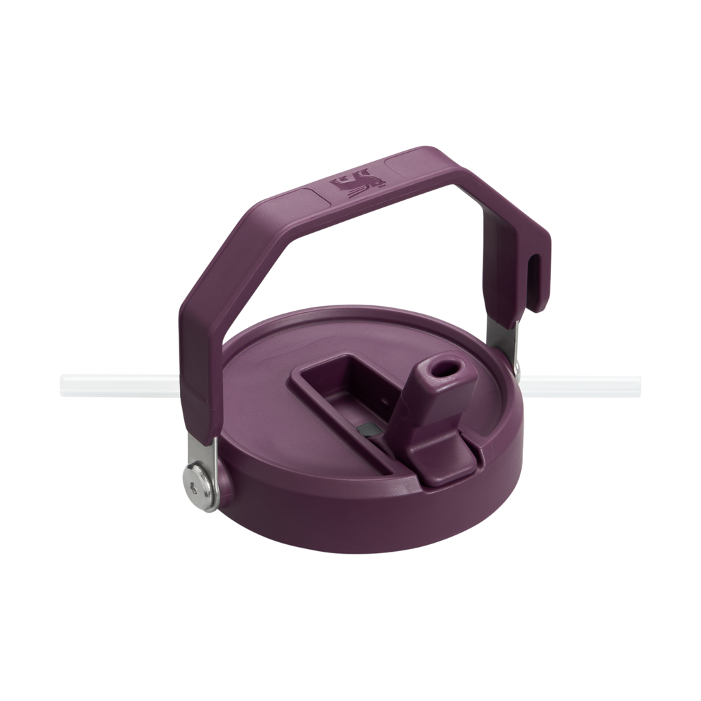 The IceFlow™ Flip Straw Jug D038H