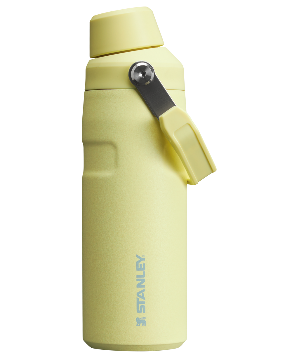IceFlow™ Bottle with Fast Flow Lid D081V