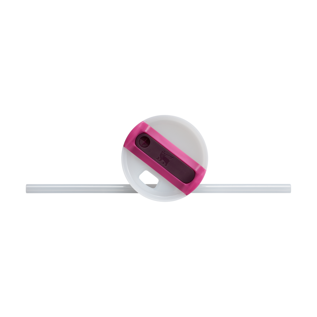 The Quencher H2.0 Flowstate™ Tumbler D051L