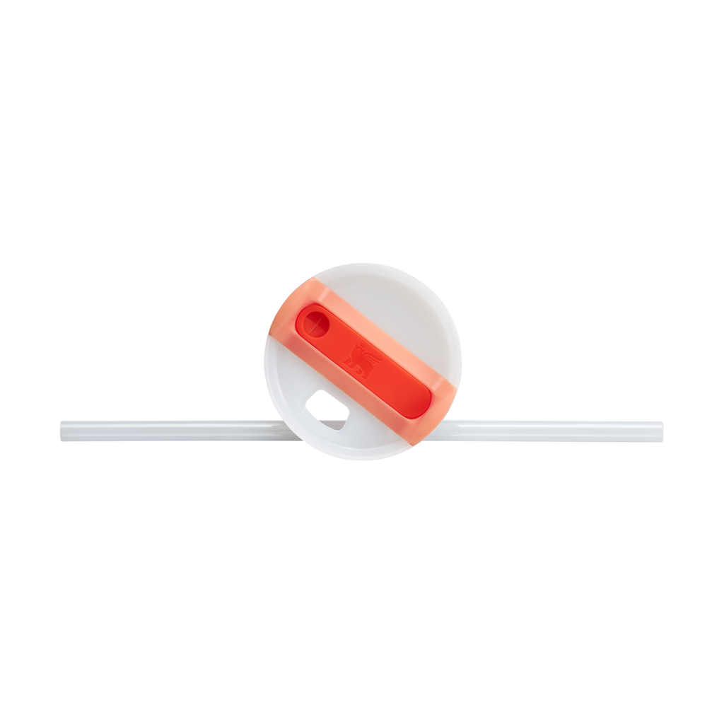 The Quencher H2.0 Flowstate™ Tumbler D051L