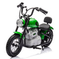 NEWWARE 36V Electric Dirt Bike, 350W Kids Ride Display Dirt Bike with Twist Grip Throttle, Hand-Operated Dual Brakes, Key Start, Battery Display, Max Speed 15.5mph, Electric Motorcycle for Age 8+, Green