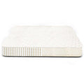 Plushnest Mattress - Eastern King Size