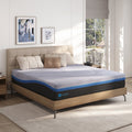 Queen Size Mattress Avenco 10'' Adult Medium Plush Gel Memory Foam Mattress in Lens Box