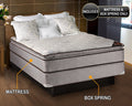 Spinal Dream Plush Pillow Top (Eurotop) Full 54 x75 x12 Mattress and Box Spring set - Sleep System with Enhanced Cushion Support, Assembled by Dream Solutions USA