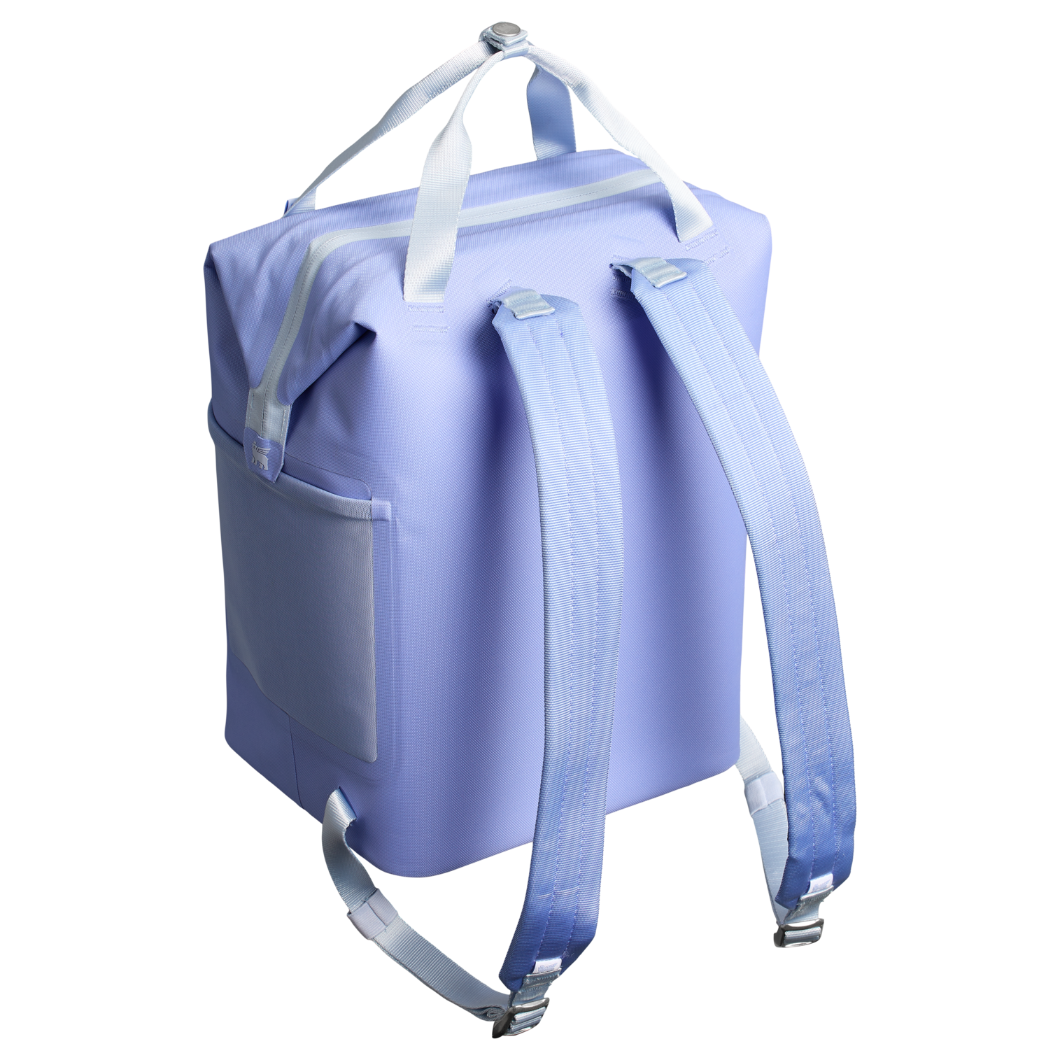 The All Day Madeleine Mini Cooler Backpack D100N