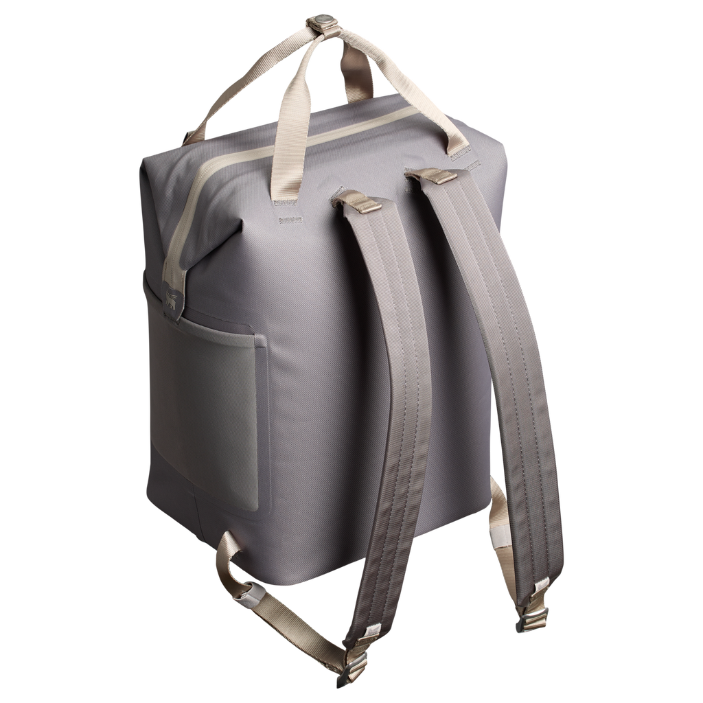 The All Day Madeleine Mini Cooler Backpack D100N