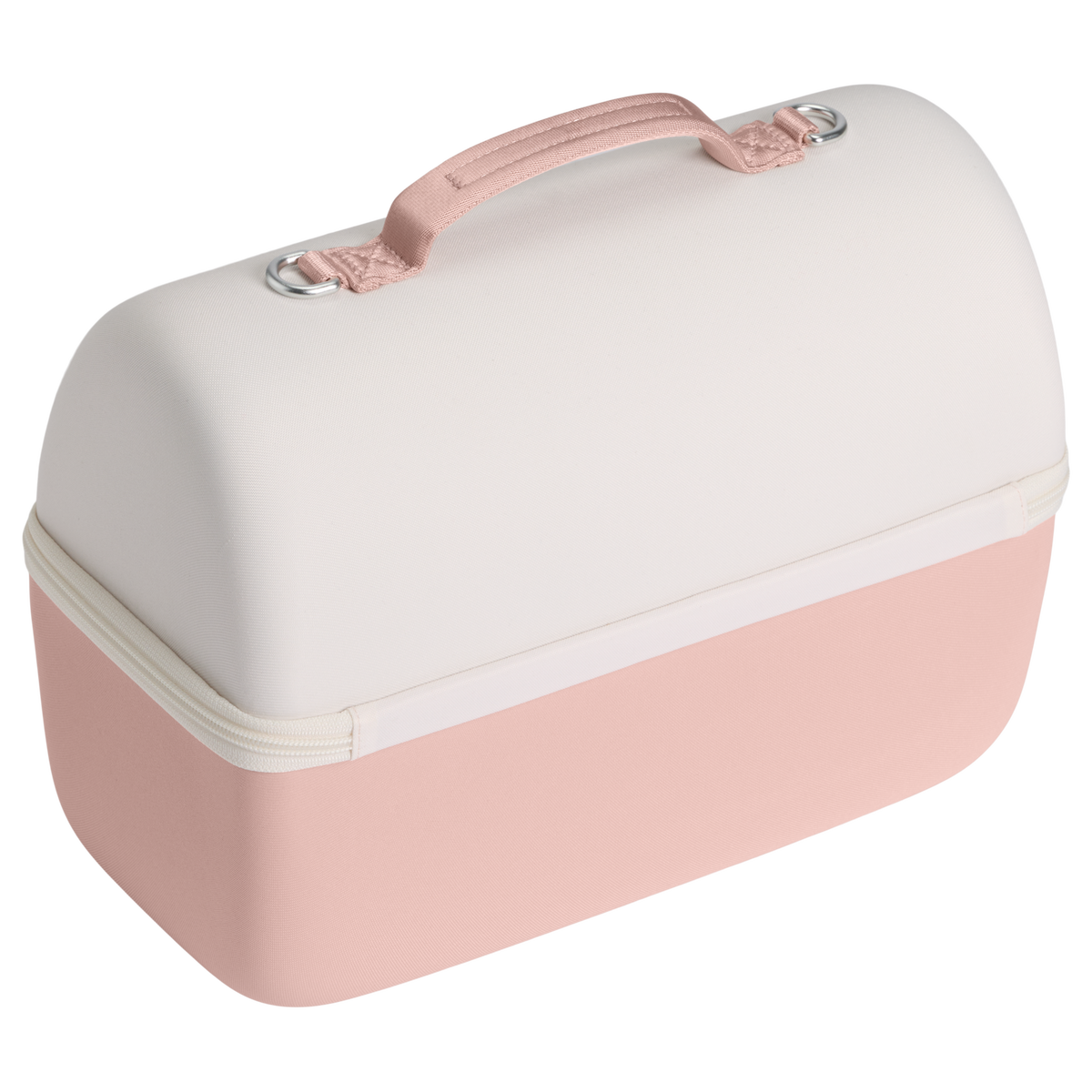 The Comeback Lunchbox Max D254H