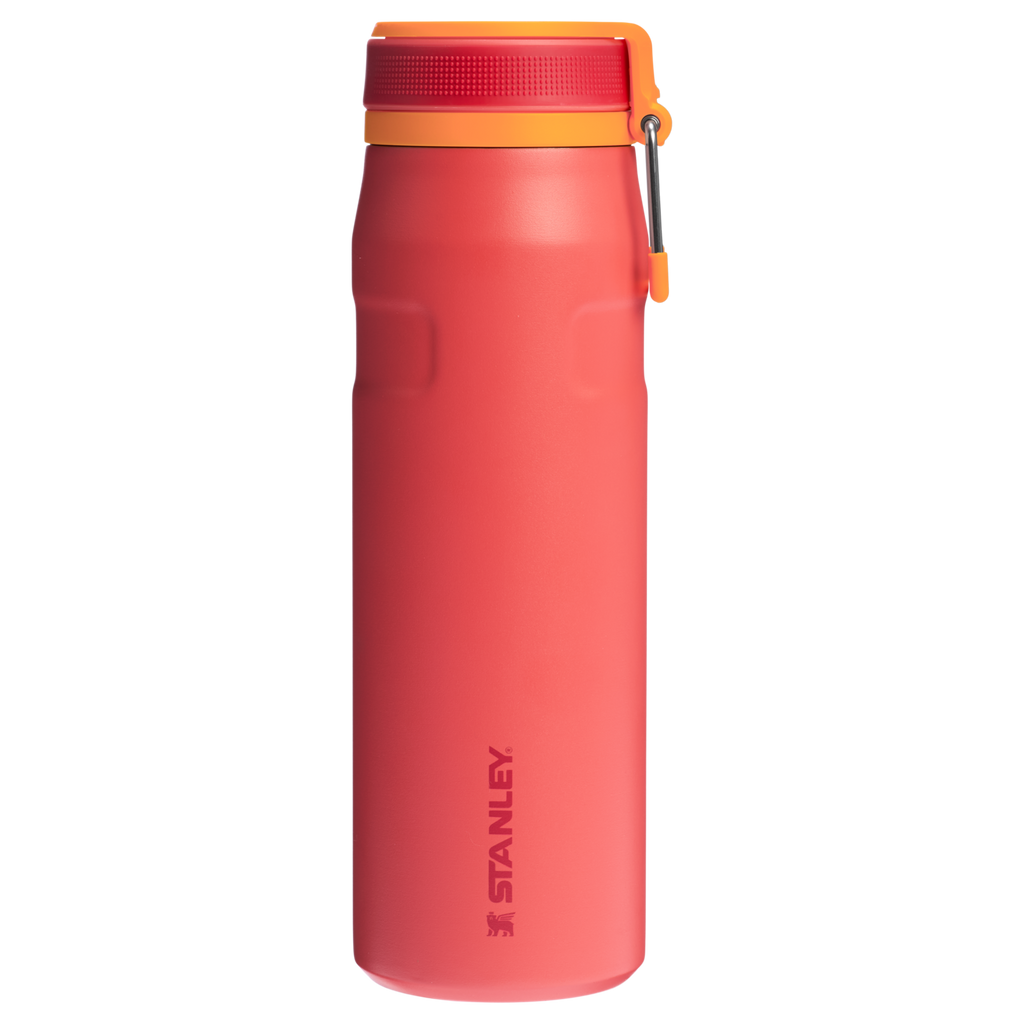 The IceFlow™ Bottle with Twist Flip Lid D123F