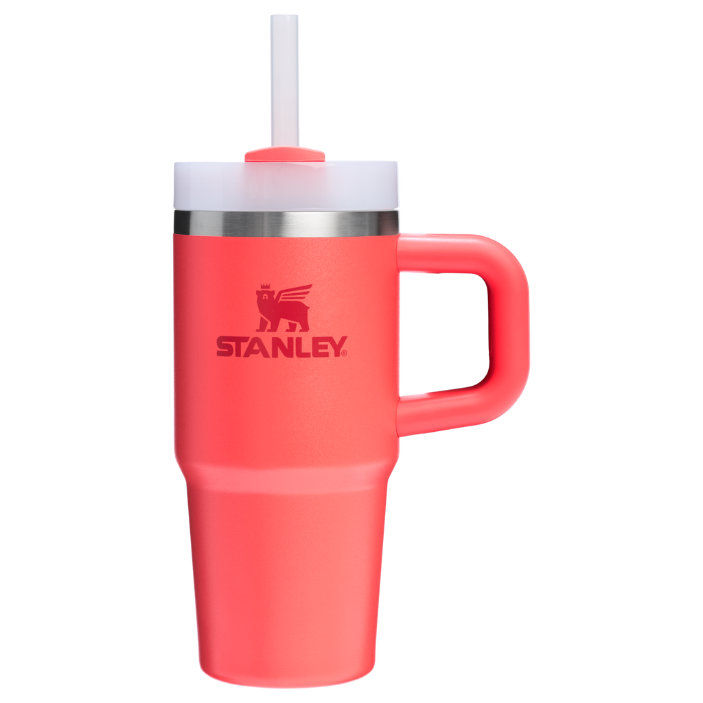 The Quencher H2.O Flowstate™ Tumbler | Stanley Create D291F