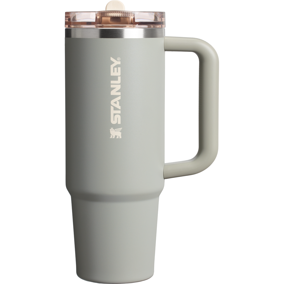 The Quencher ProTour Flip Straw Tumbler | Stanley Create D310J